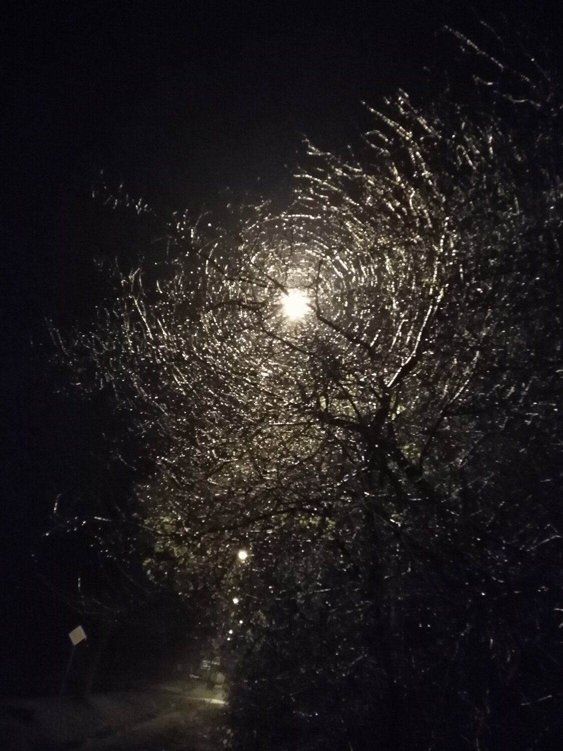 Photo #4853357
