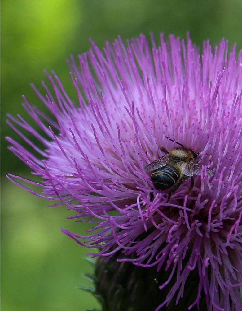 Photograph by Ирина Корабельникова