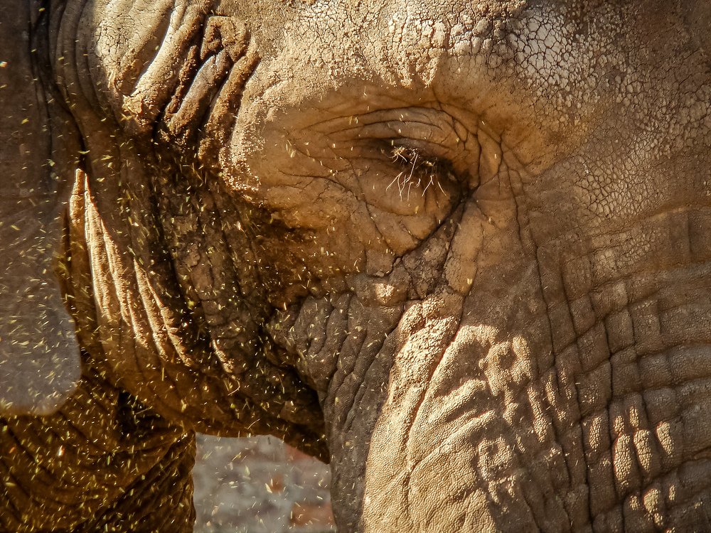 Фотография автора Valdevani Aprigio