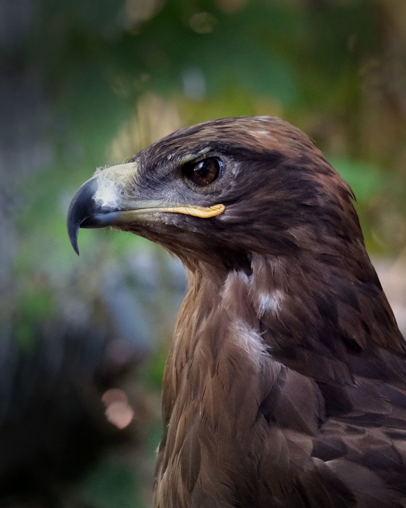 Photograph by Юрьевич Юрий