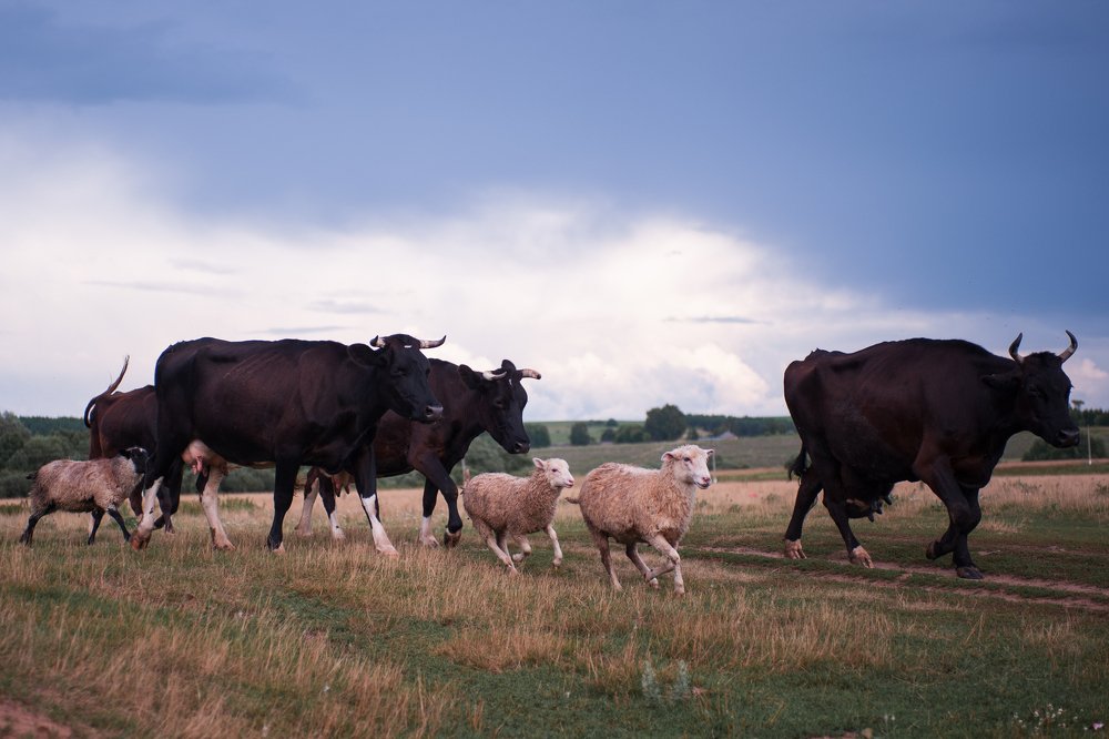 Photograph by Ольга Калачкина