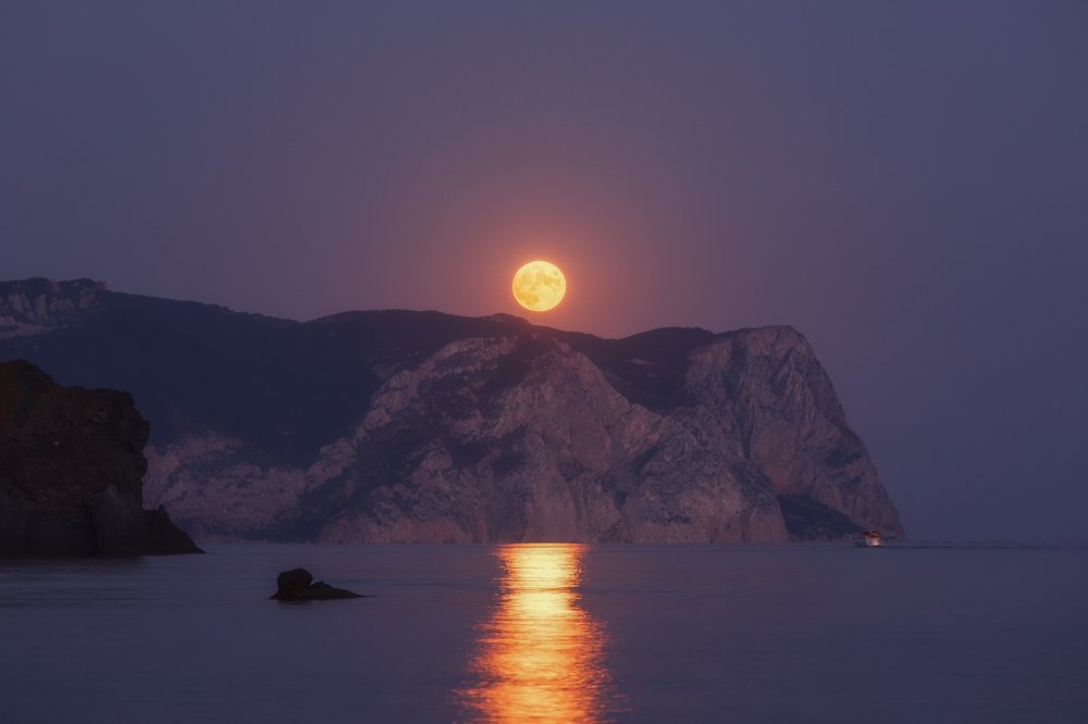 Поймай меня, если сможешь...