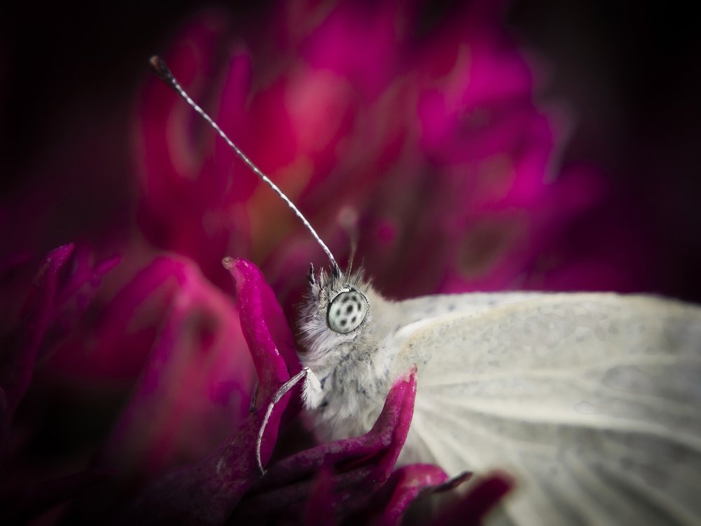 Photograph by Ekaterina Fadeeva