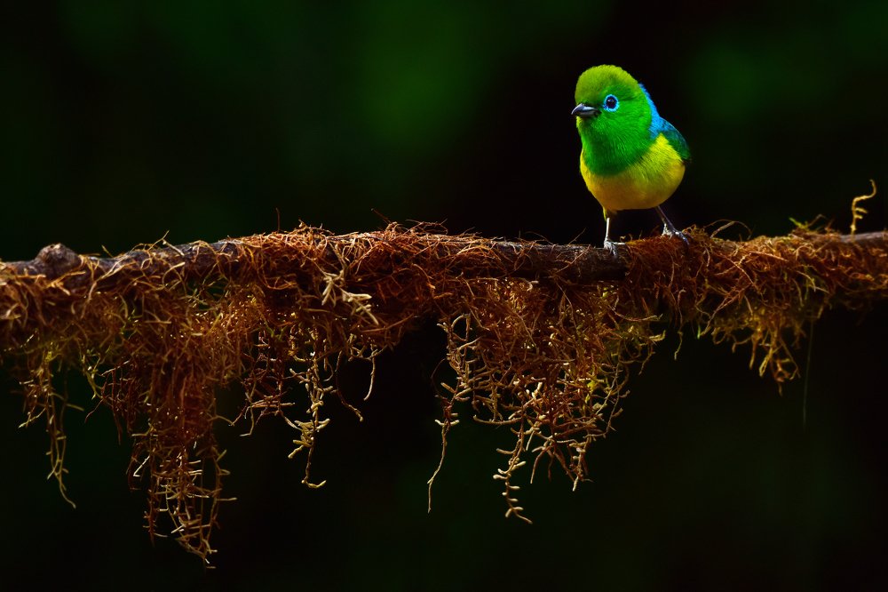 Photograph by SI SABER LOTFI