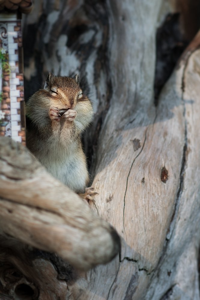 Photograph by Екатерина Овчаренко