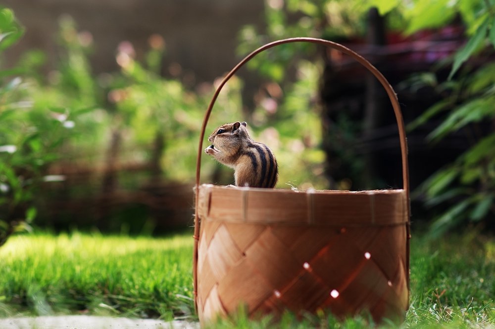 Photograph by Екатерина Овчаренко