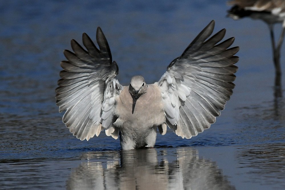 Photograph by SACHIN MATKAR