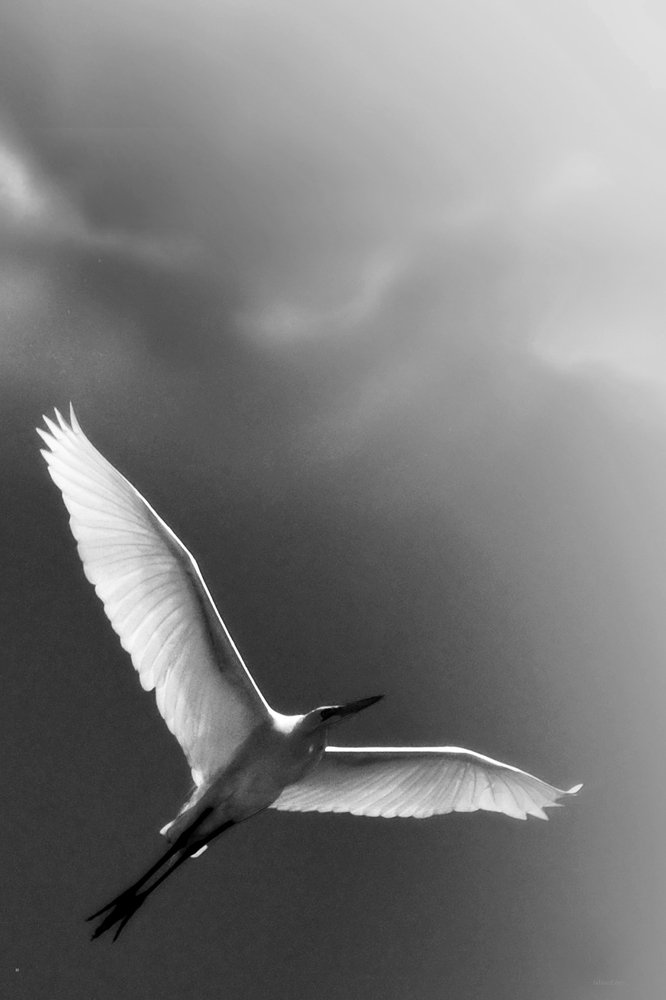 Photograph by Fabian Eder