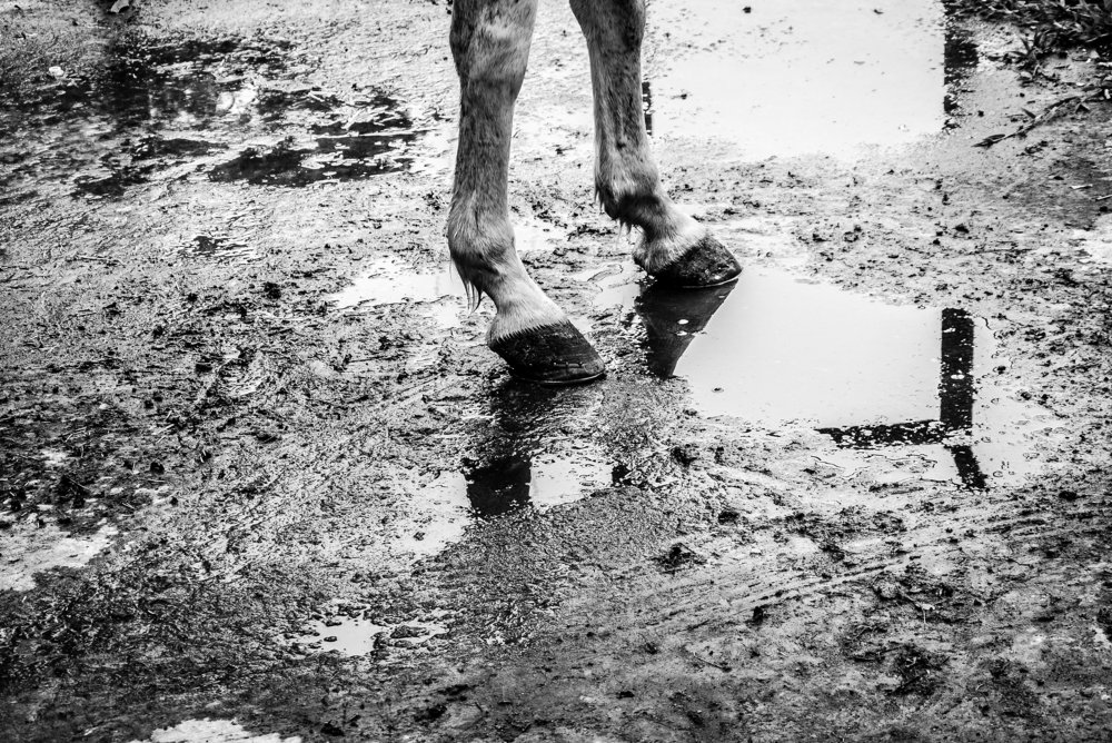 Photograph by Marielisa Iglesias