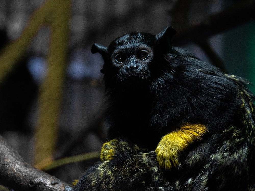 Photograph by Артем Козлов