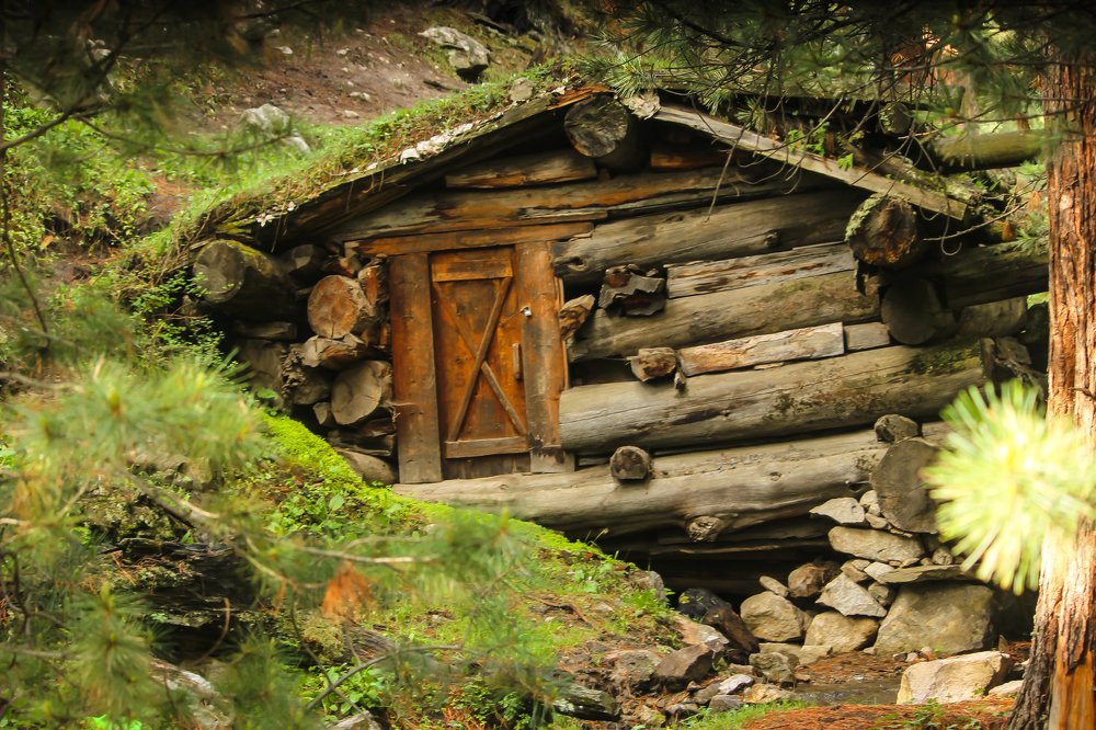 Photograph by Iqbal Tayyab