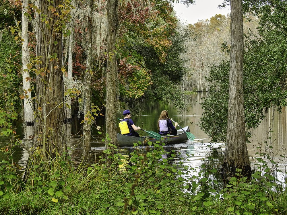 Photograph by MARIO HUMBERTO GARCIA GONZALEZ