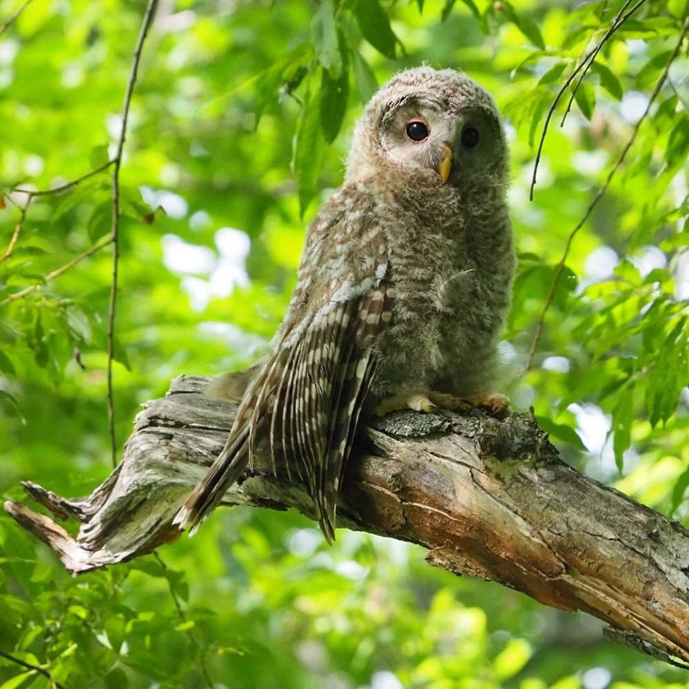 Photograph by Xeniya Kolosova