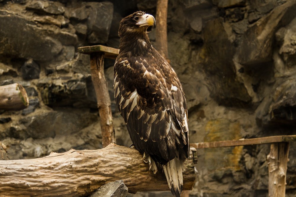 Photograph by Анастасия Скокова