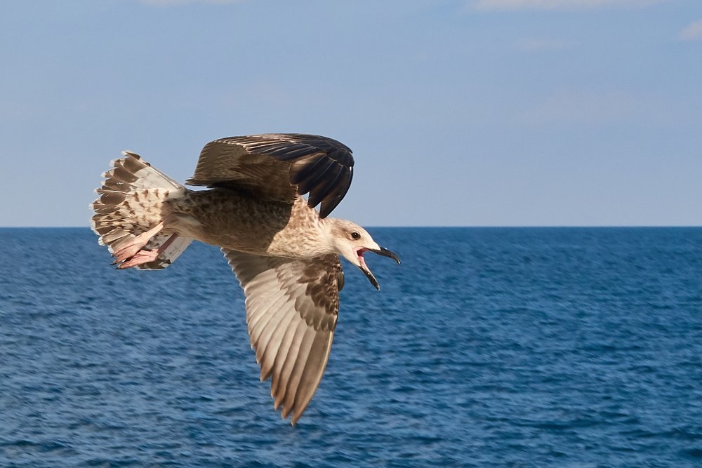 Photograph by Владимир Зубцов