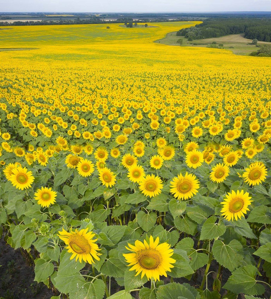 Photograph by Борис Резванцев