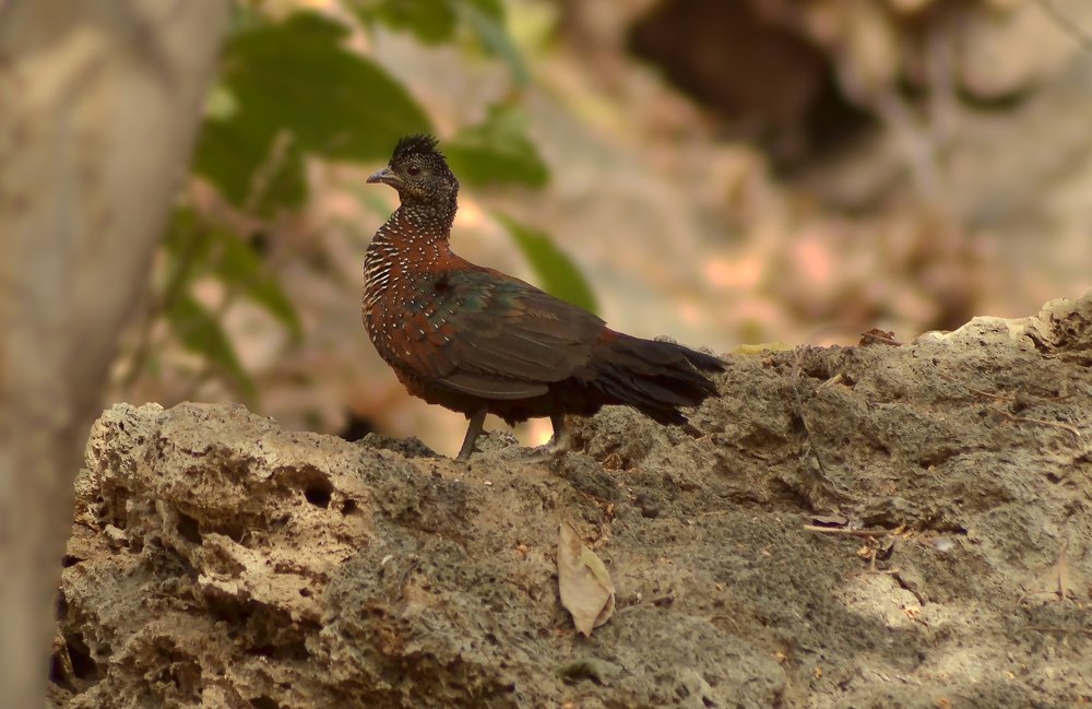 Photograph by Faisal Khan