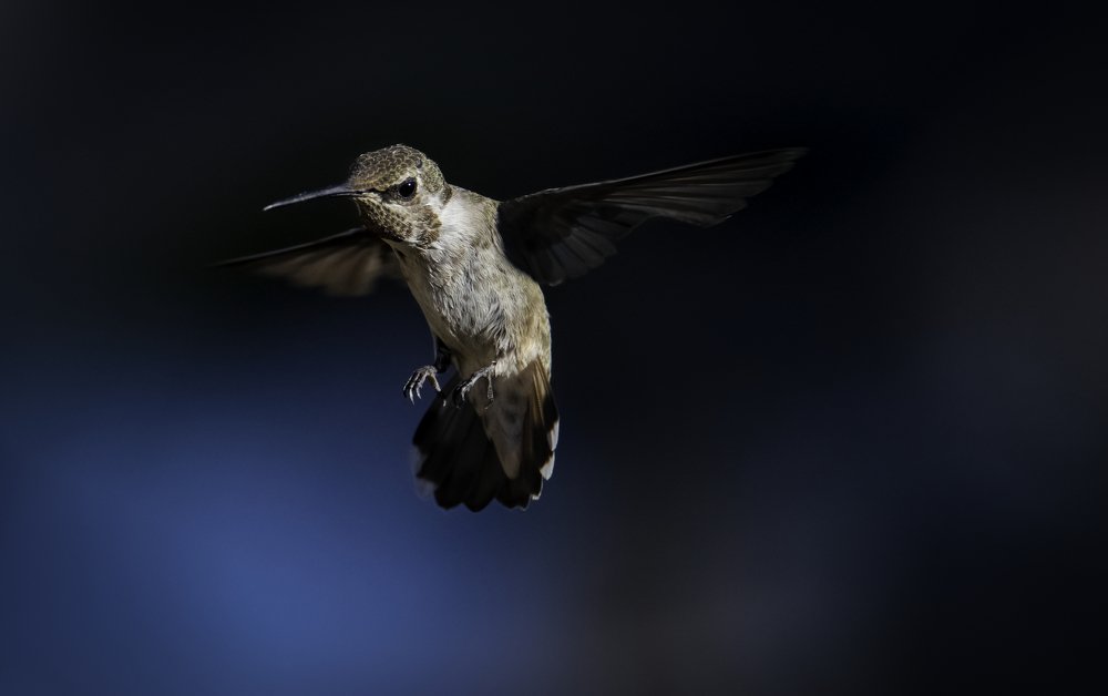 Photograph by HITTHEROAD