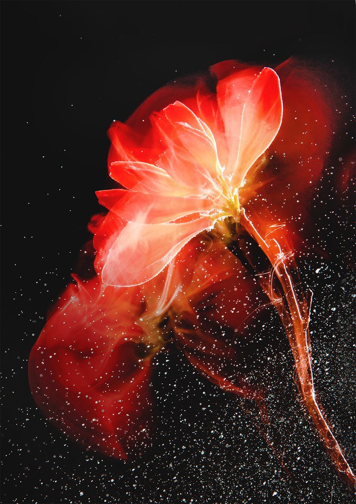 Photograph by Оксана Гимранова