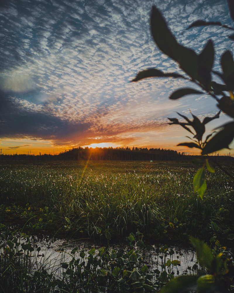 Photograph by Эдуард Кузелев