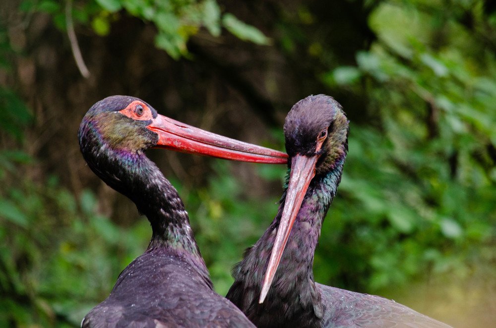 Photograph by Олег Смирнов