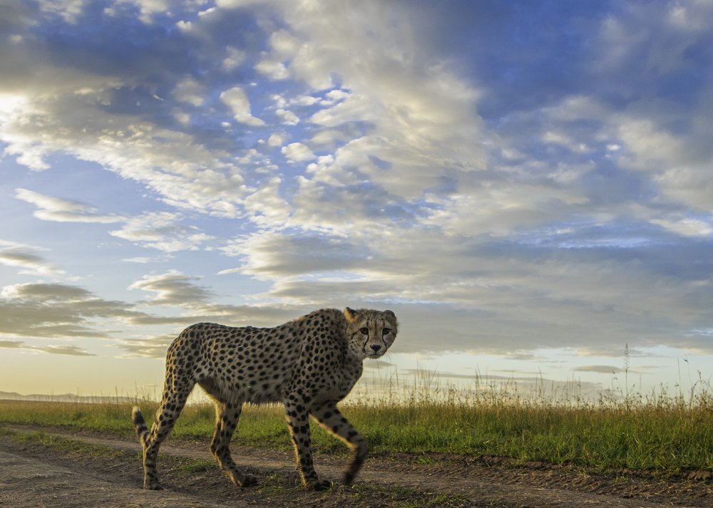 Photograph by Dilip Shah