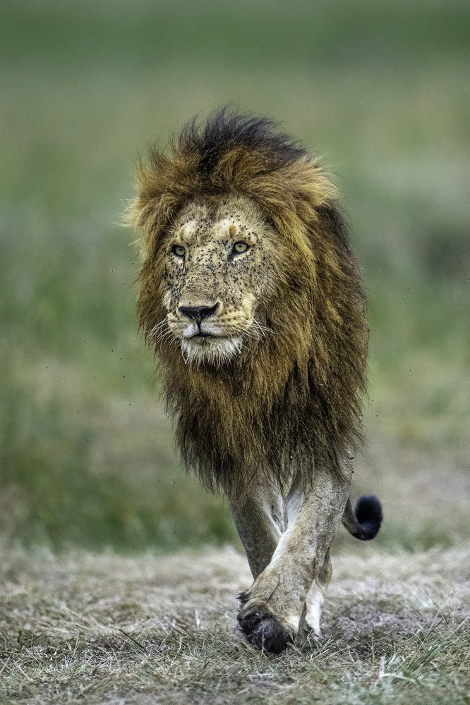 Photograph by Dilip Shah