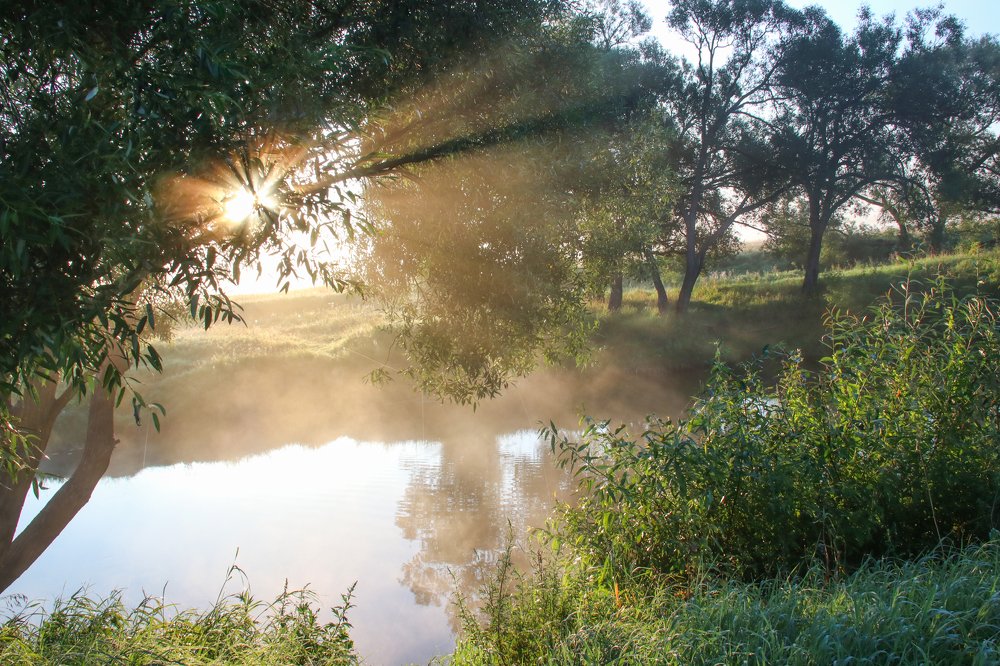 Photograph by Наталья Манусова