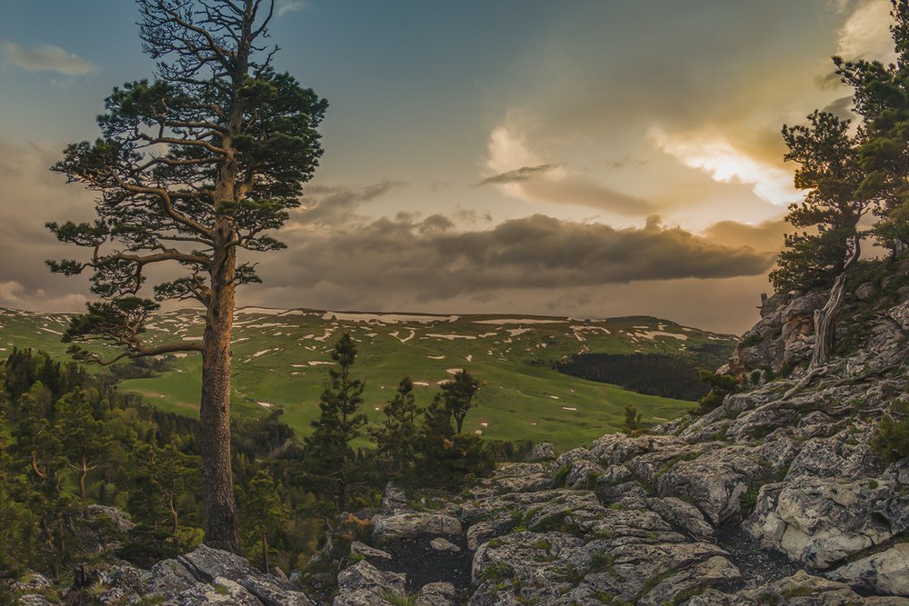 Photograph by Anatoly