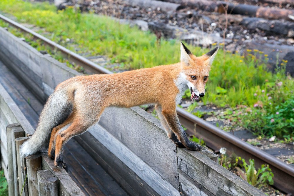 Photograph by Александр Силинский