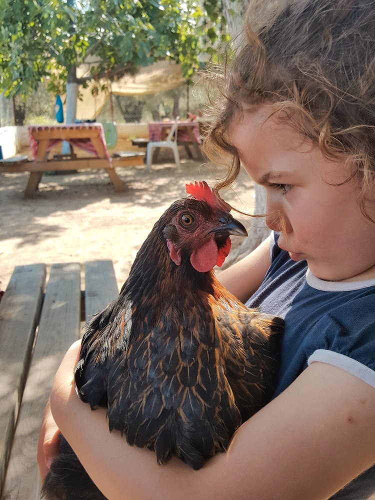 Hale and her chicken