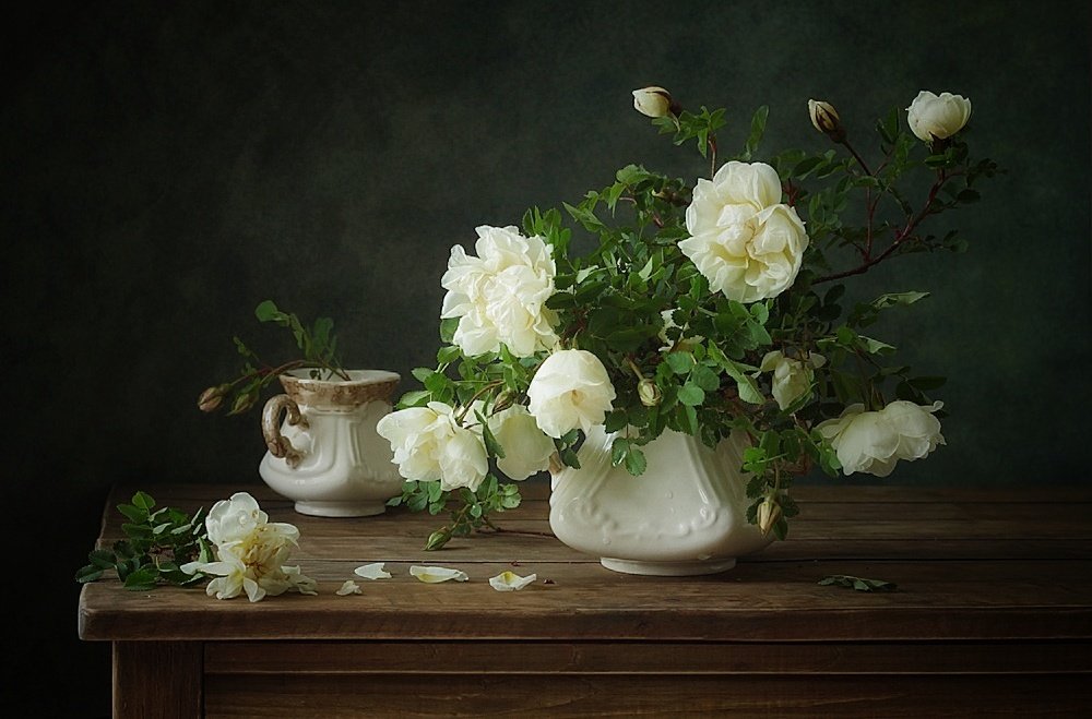 Белые розы.