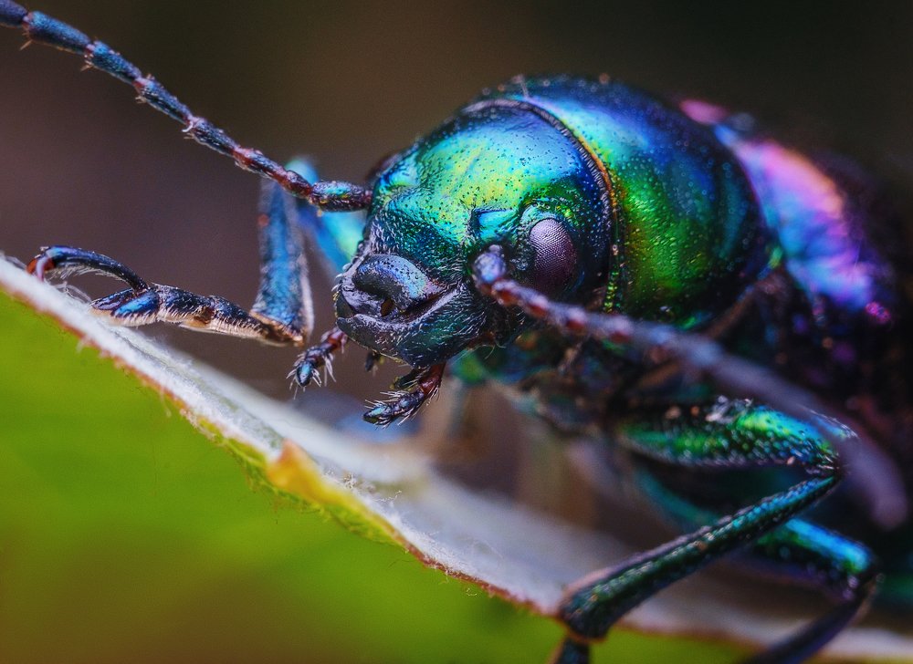 Photograph by Сергей Алтуфьев