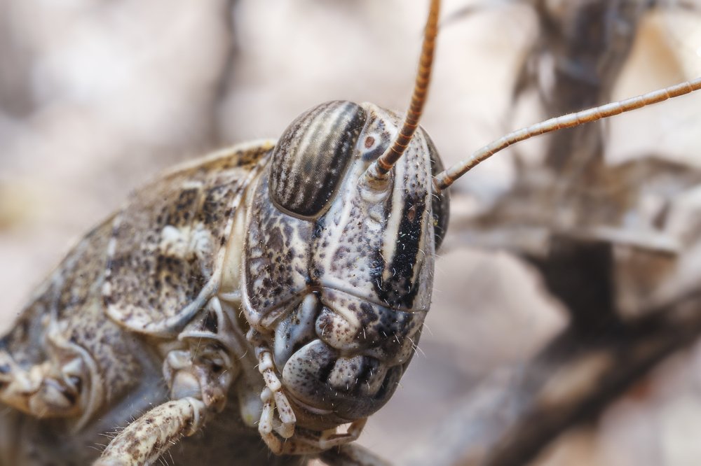 Photograph by Сергей Алтуфьев