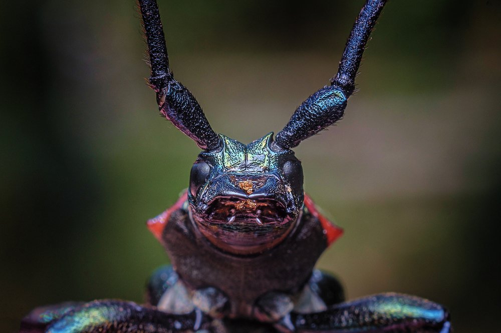 Photograph by Сергей Алтуфьев