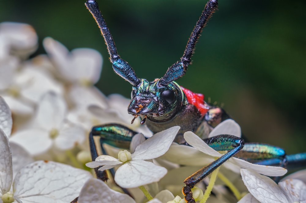 Photograph by Сергей Алтуфьев