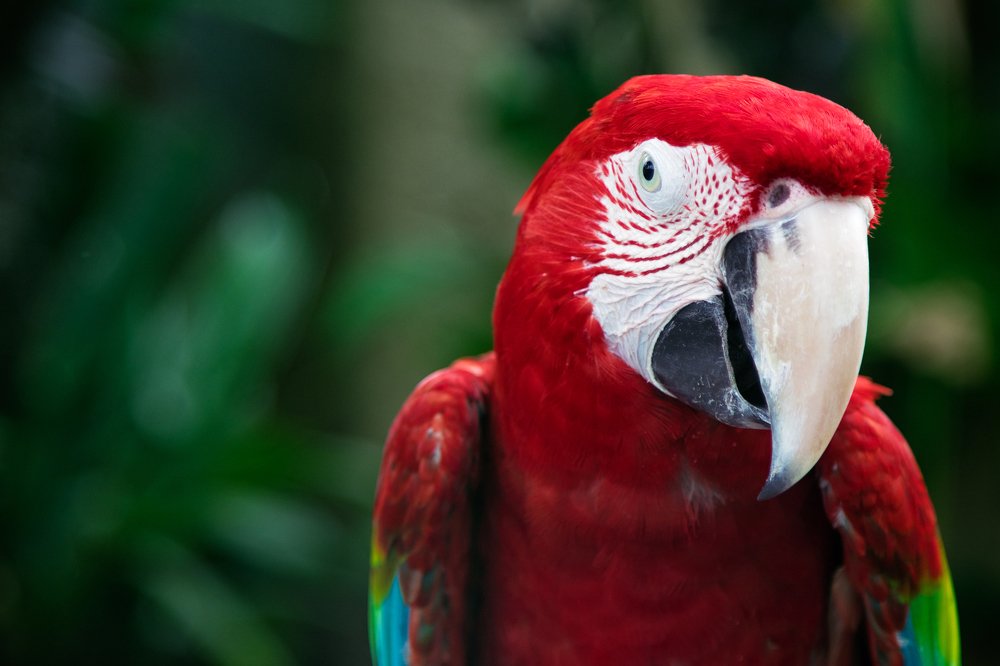 Photograph by Виталий Мытник