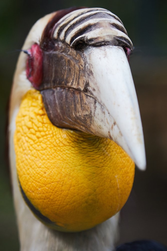 Photograph by Виталий Мытник