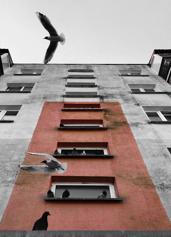 Photograph by Дмитрий Гришкевич