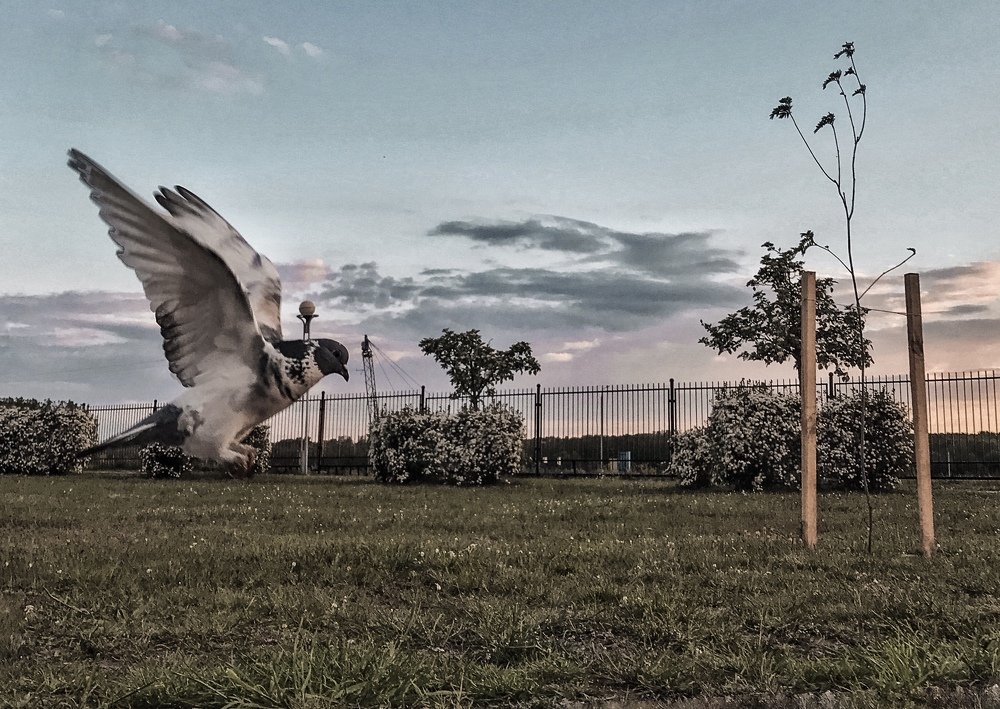 Photograph by Дмитрий Гришкевич