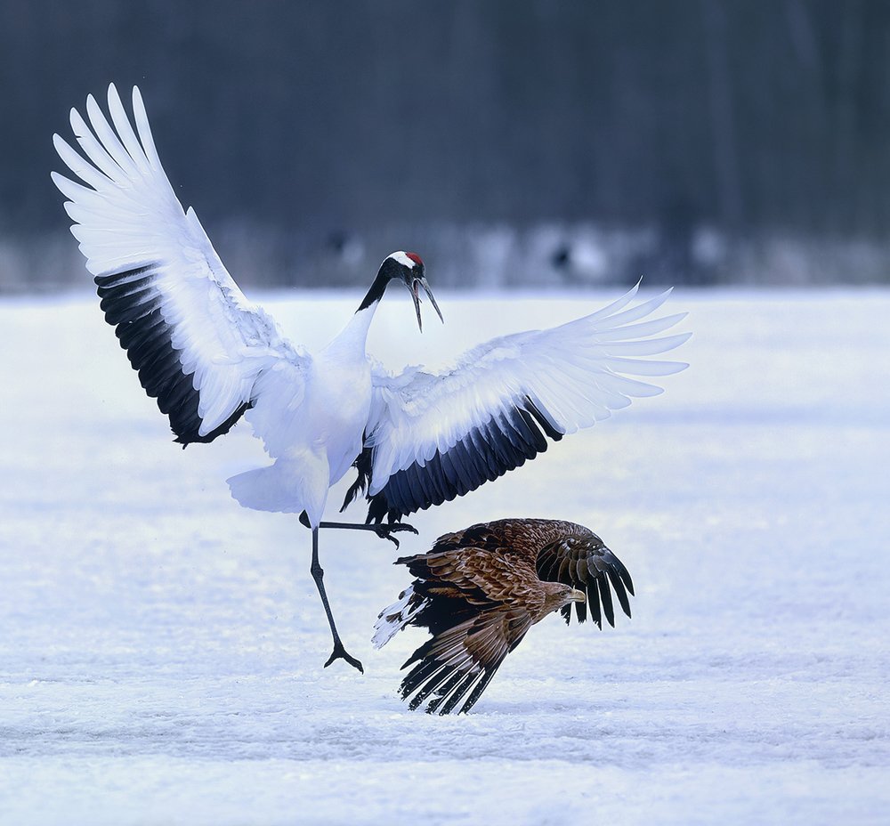 Photograph by suk eun kim