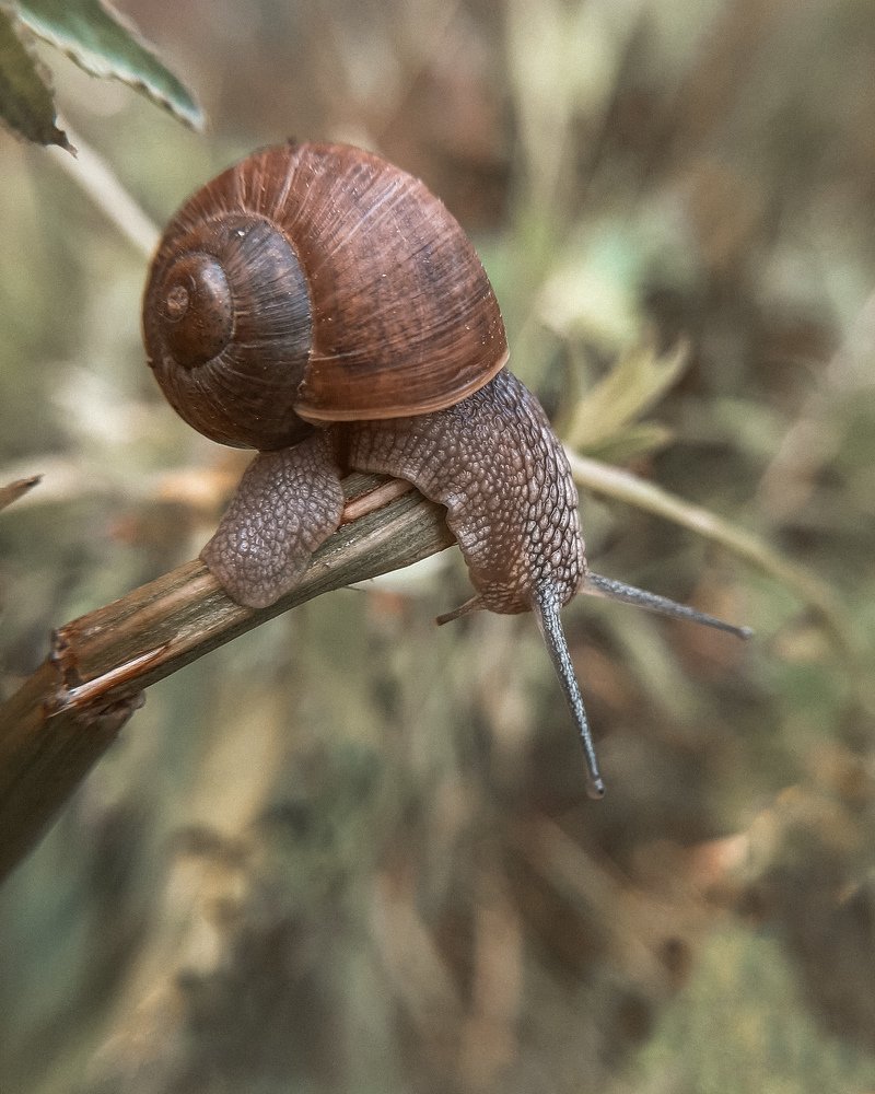 Photograph by Ирина Иванова