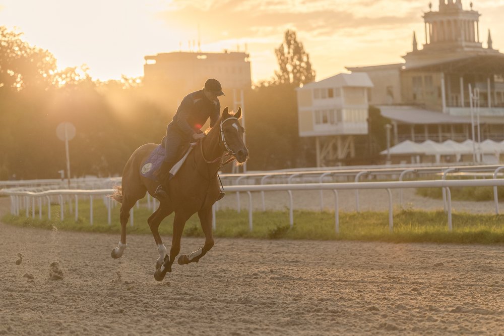 Photograph by Константин Кукушкин