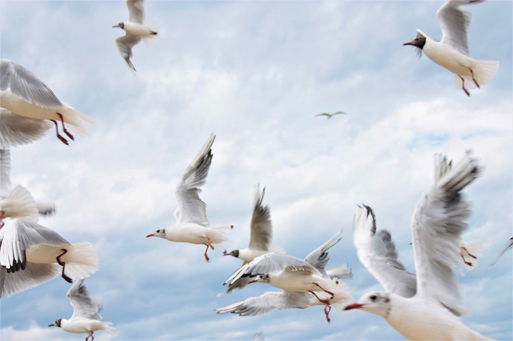 Photograph by Ольга Сергиенко