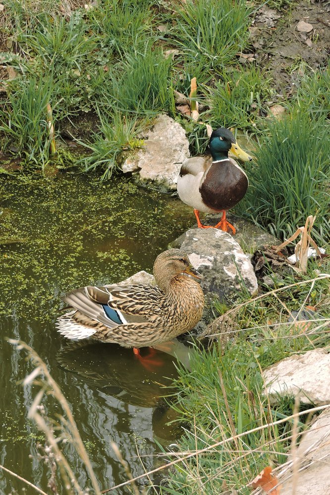 Photograph by Ольга Калачкина