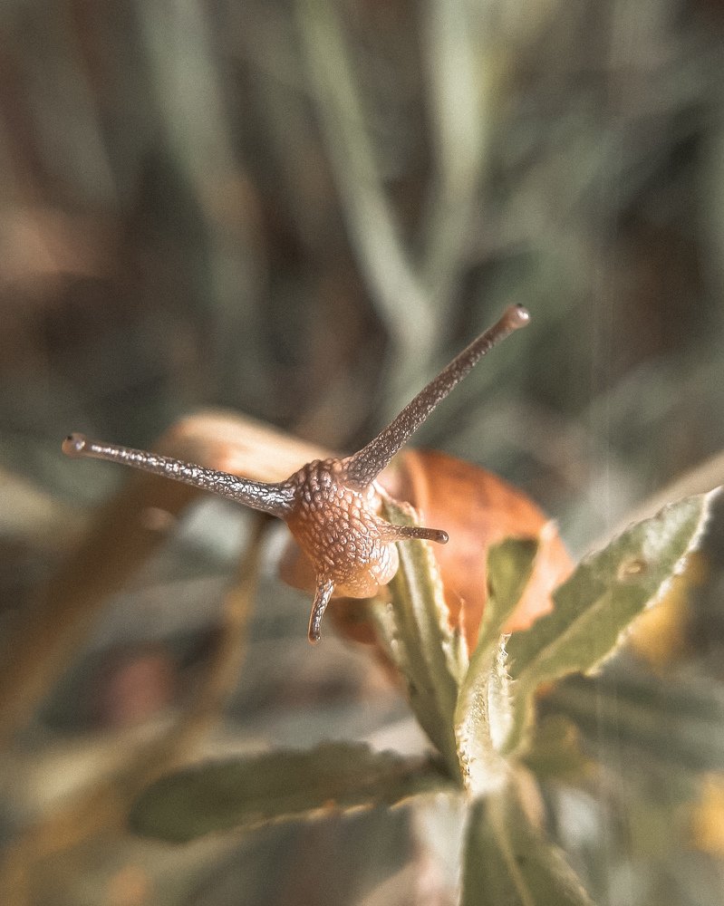 Photograph by Ирина Иванова