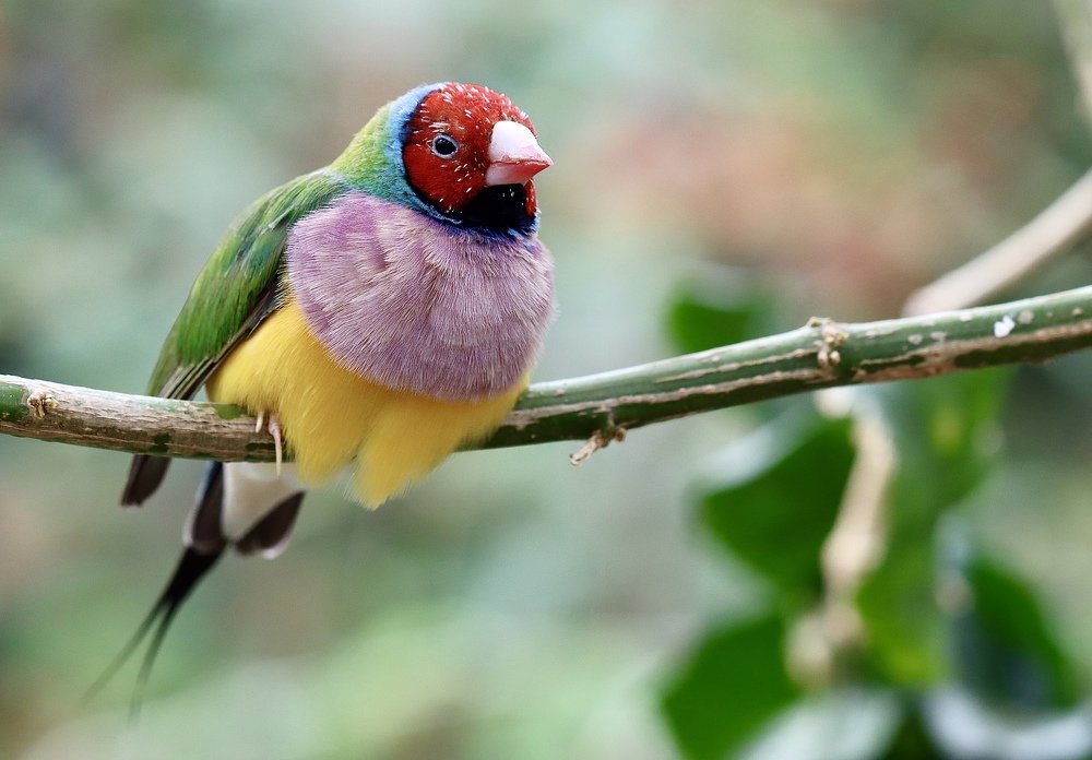 Photograph by Малика Маткарим