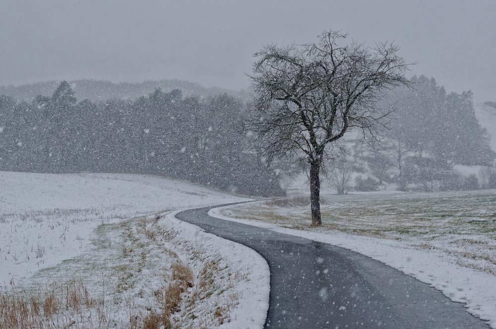 Зимней дорогой