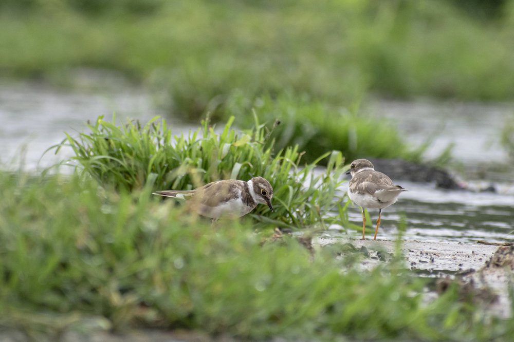 Photograph by mayur shrimali