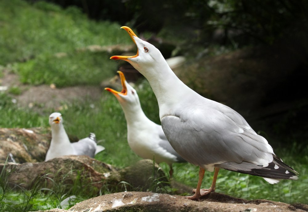 Photograph by Вика Иванова